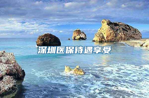 深圳医保待遇享受