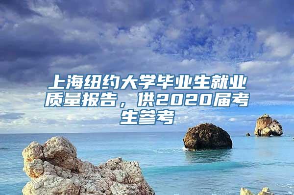 上海纽约大学毕业生就业质量报告，供2020届考生参考