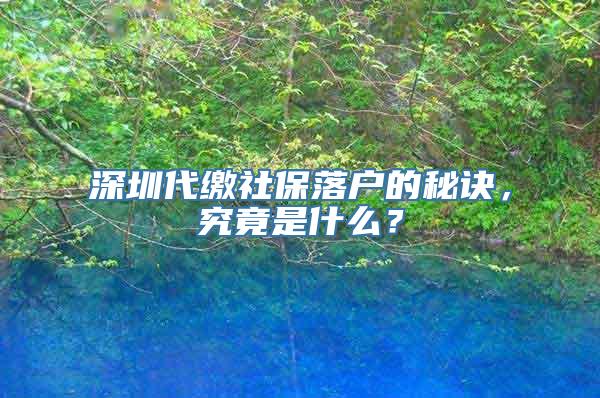 深圳代缴社保落户的秘诀，究竟是什么？