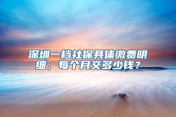 深圳一档社保具体缴费明细，每个月交多少钱？