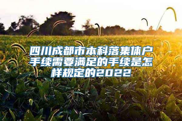 四川成都市本科落集体户手续需要满足的手续是怎样规定的2022