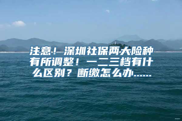 注意！深圳社保两大险种有所调整！一二三档有什么区别？断缴怎么办......