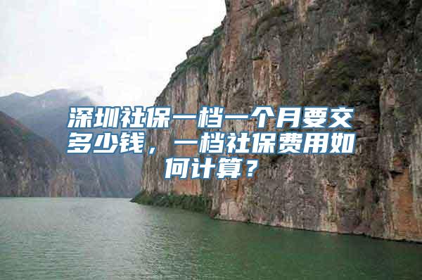 深圳社保一档一个月要交多少钱，一档社保费用如何计算？