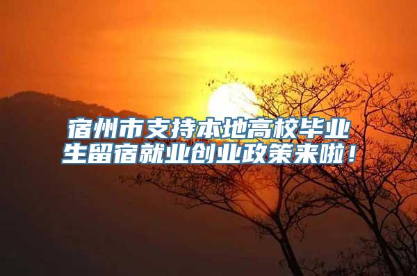 宿州市支持本地高校毕业生留宿就业创业政策来啦！