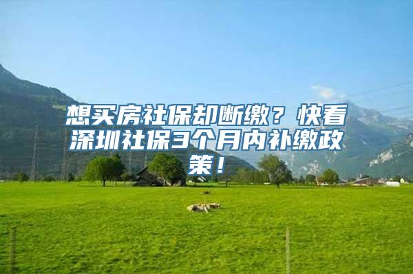 想买房社保却断缴？快看深圳社保3个月内补缴政策！