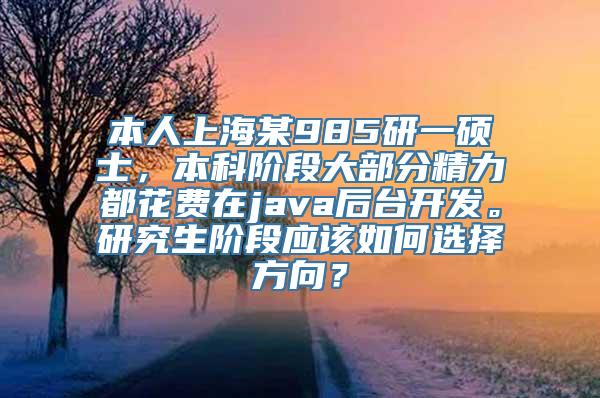 本人上海某985研一硕士，本科阶段大部分精力都花费在java后台开发。研究生阶段应该如何选择方向？