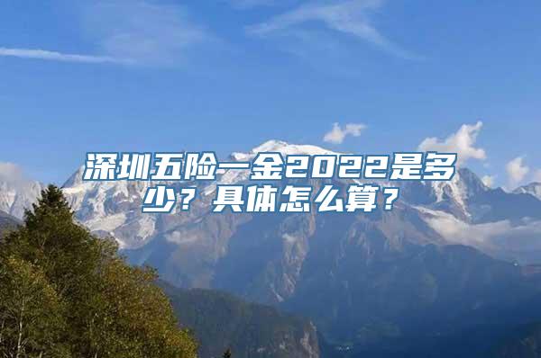 深圳五险一金2022是多少？具体怎么算？