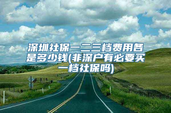 深圳社保一二三档费用各是多少钱(非深户有必要买一档社保吗)