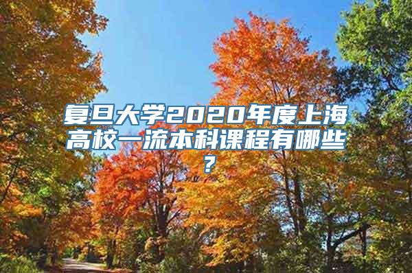 复旦大学2020年度上海高校一流本科课程有哪些？