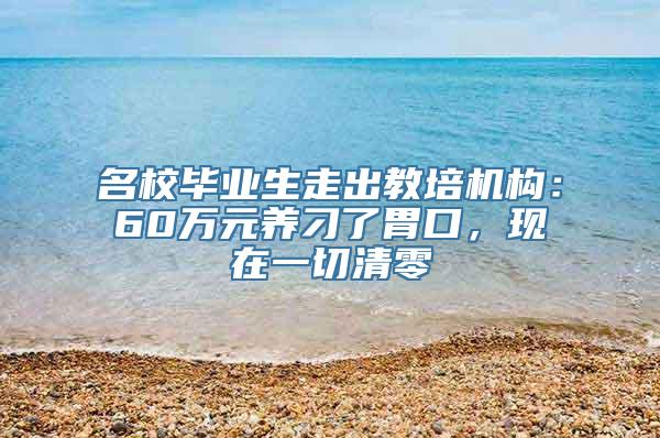 名校毕业生走出教培机构：60万元养刁了胃口，现在一切清零