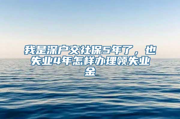 我是深户交社保5年了，也失业4年怎样办理领失业金