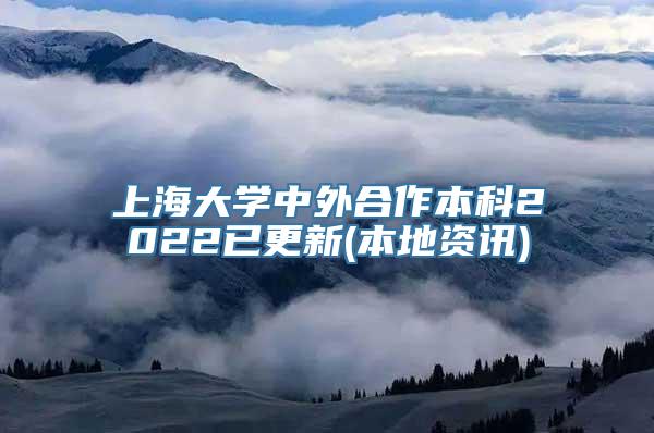 上海大学中外合作本科2022已更新(本地资讯)