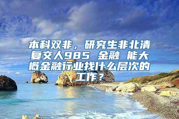 本科双非，研究生非北清复交人985 金融 能大概金融行业找什么层次的工作？