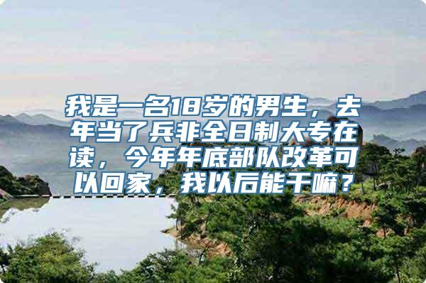 我是一名18岁的男生，去年当了兵非全日制大专在读，今年年底部队改革可以回家，我以后能干嘛？