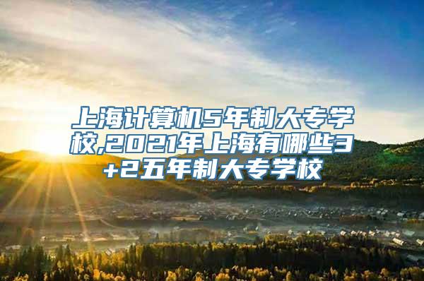 上海计算机5年制大专学校,2021年上海有哪些3+2五年制大专学校