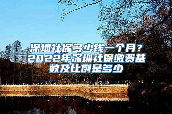 深圳社保多少钱一个月？2022年深圳社保缴费基数及比例是多少