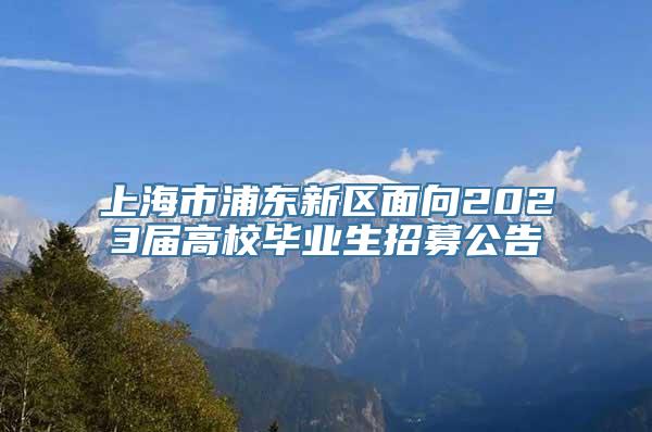 上海市浦东新区面向2023届高校毕业生招募公告