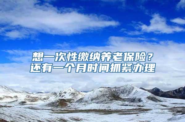 想一次性缴纳养老保险？还有一个月时间抓紧办理