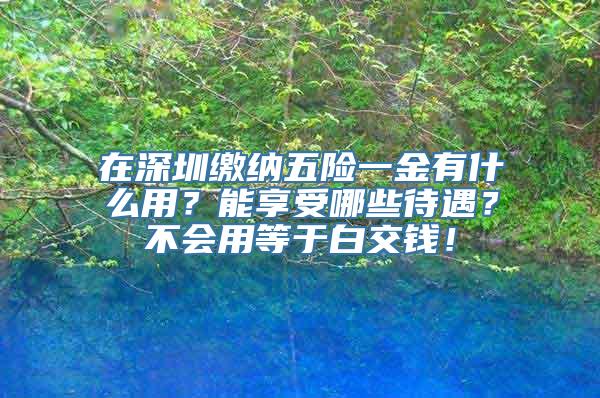 在深圳缴纳五险一金有什么用？能享受哪些待遇？不会用等于白交钱！