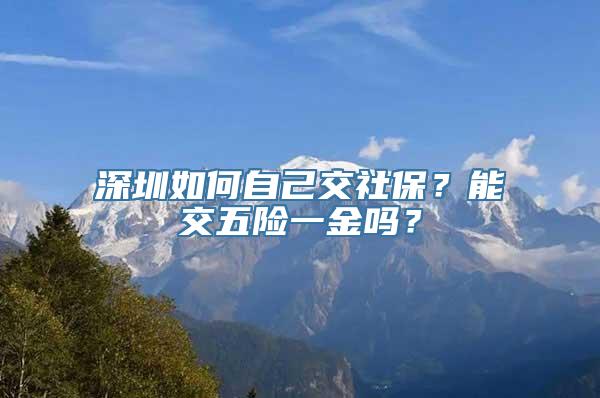 深圳如何自己交社保？能交五险一金吗？