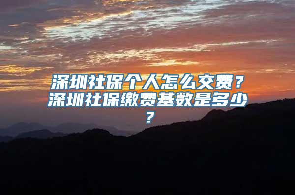 深圳社保个人怎么交费？深圳社保缴费基数是多少？