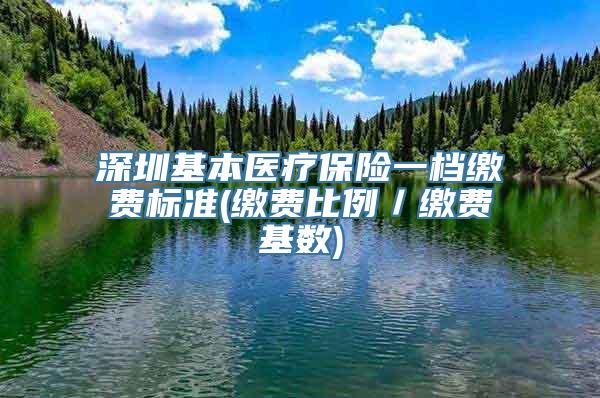 深圳基本医疗保险一档缴费标准(缴费比例／缴费基数)