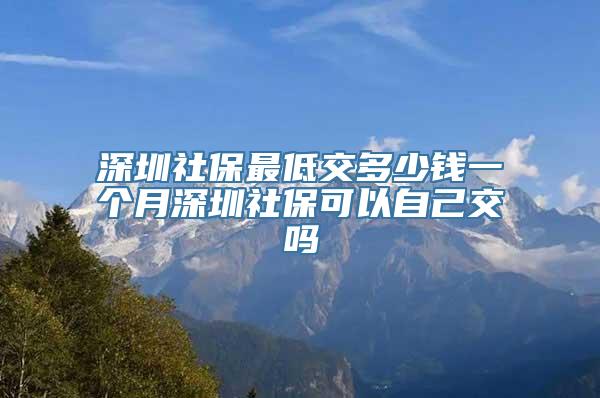 深圳社保最低交多少钱一个月深圳社保可以自己交吗