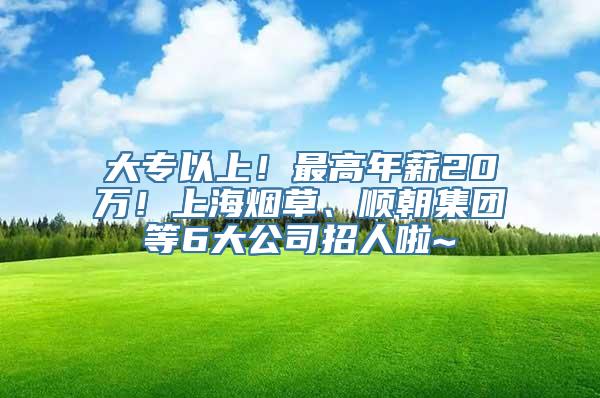 大专以上！最高年薪20万！上海烟草、顺朝集团等6大公司招人啦~