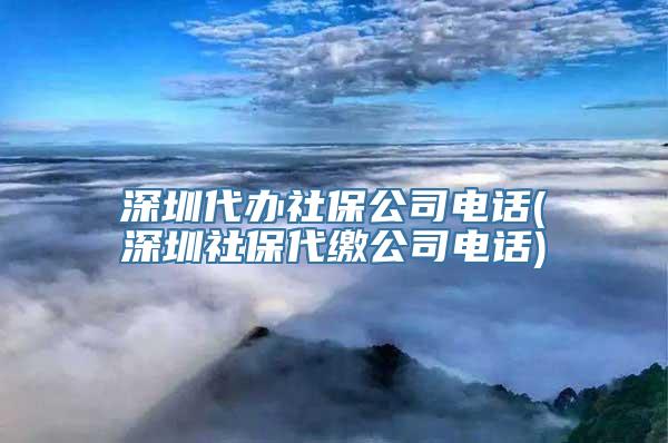 深圳代办社保公司电话(深圳社保代缴公司电话)