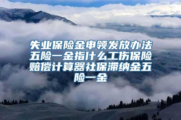 失业保险金申领发放办法五险一金指什么工伤保险赔偿计算器社保滞纳金五险一金