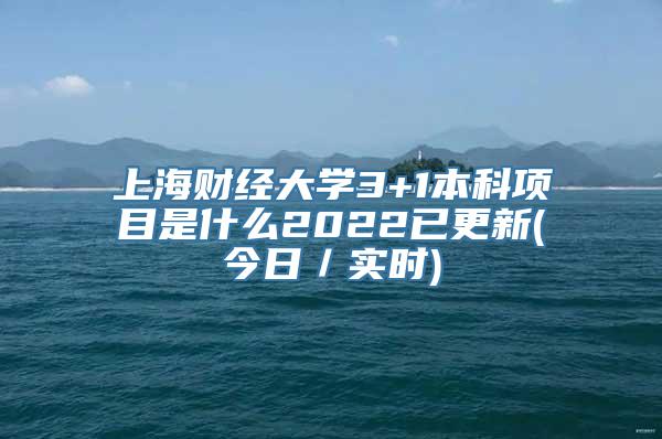 上海财经大学3+1本科项目是什么2022已更新(今日／实时)