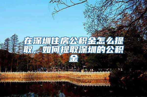 在深圳住房公积金怎么提取，如何提取深圳的公积金