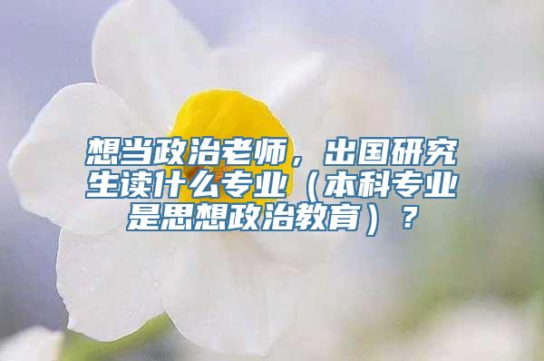 想当政治老师，出国研究生读什么专业（本科专业是思想政治教育）？