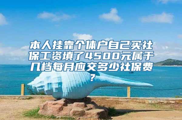 本人挂靠个体户自己买社保工资填了4500元属于几档每月应交多少社保费？