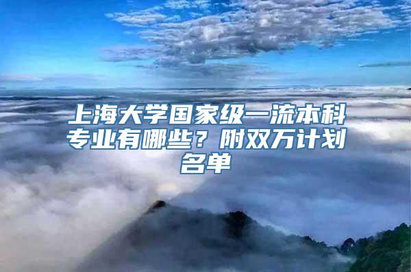 上海大学国家级一流本科专业有哪些？附双万计划名单