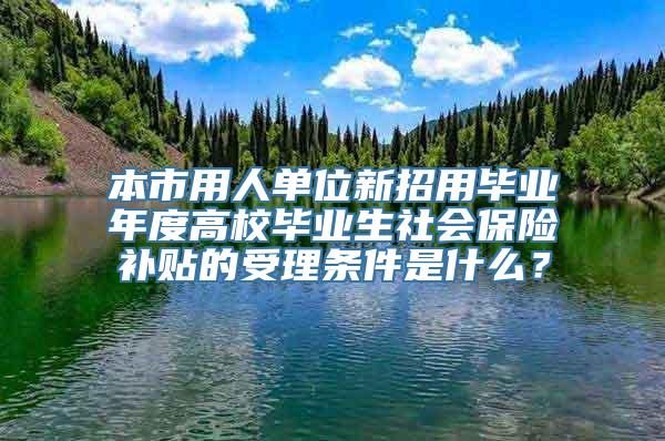 本市用人单位新招用毕业年度高校毕业生社会保险补贴的受理条件是什么？