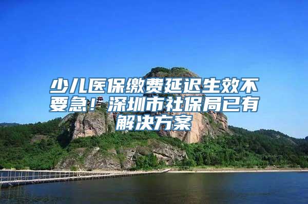 少儿医保缴费延迟生效不要急！深圳市社保局已有解决方案