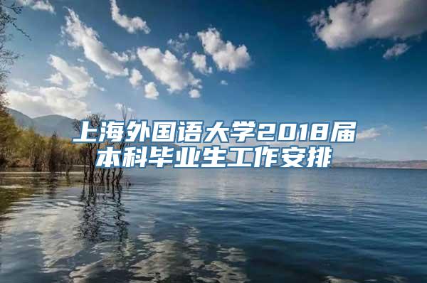 上海外国语大学2018届本科毕业生工作安排