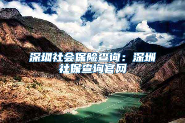 深圳社会保险查询：深圳社保查询官网