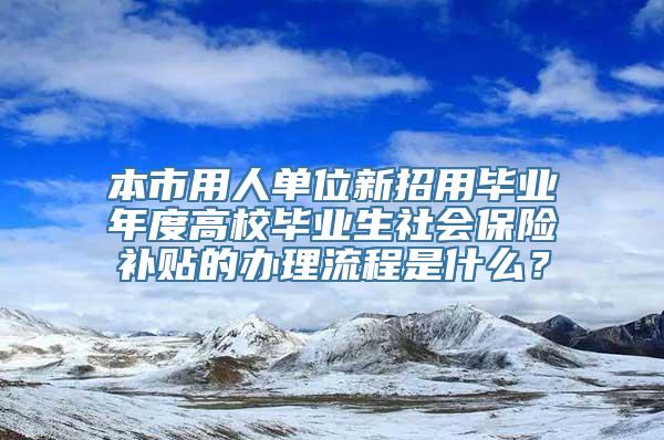 本市用人单位新招用毕业年度高校毕业生社会保险补贴的办理流程是什么？