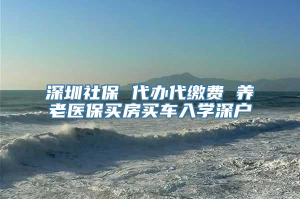 深圳社保 代办代缴费 养老医保买房买车入学深户