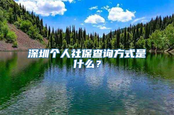 深圳个人社保查询方式是什么？