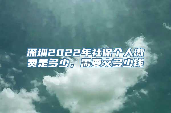 深圳2022年社保个人缴费是多少，需要交多少钱