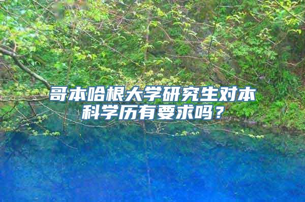 哥本哈根大学研究生对本科学历有要求吗？