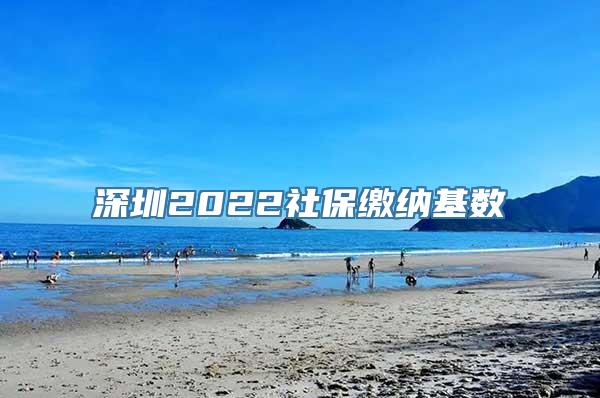 深圳2022社保缴纳基数