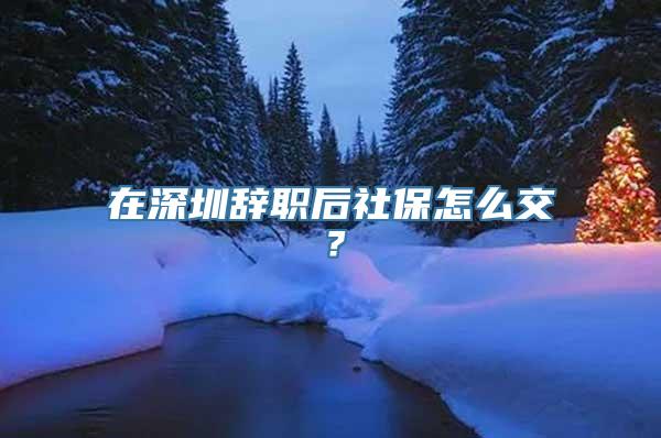 在深圳辞职后社保怎么交？