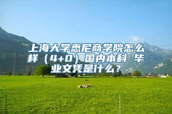 上海大学悉尼商学院怎么样（4+0）国内本科 毕业文凭是什么？