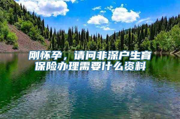 刚怀孕，请问非深户生育保险办理需要什么资料