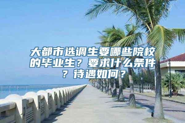 大都市选调生要哪些院校的毕业生？要求什么条件？待遇如何？