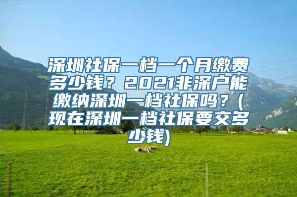 深圳社保一档一个月缴费多少钱？2021非深户能缴纳深圳一档社保吗？(现在深圳一档社保要交多少钱)